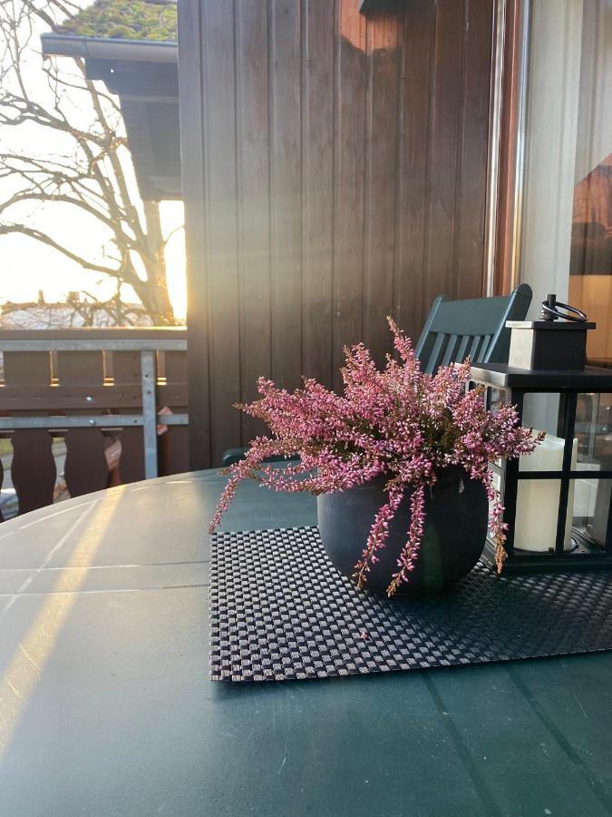 Apartment Am Park Bad Lauterberg Zewnętrze zdjęcie