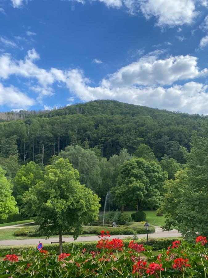 Apartment Am Park Bad Lauterberg Zewnętrze zdjęcie